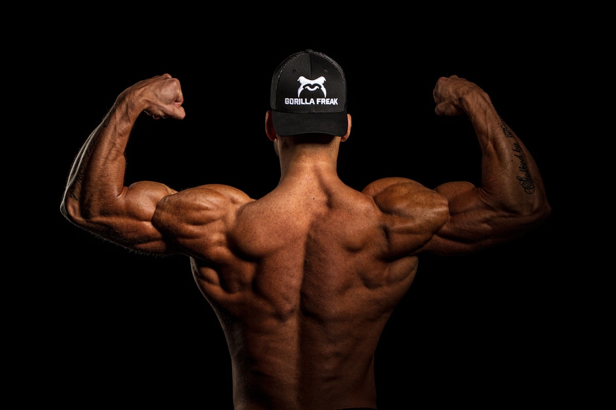 Protein meal planning nutrition strategies